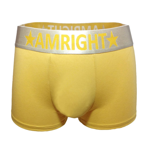 Marque Am Right Shorties pour Hommes 5cm De Large Ceinture Dos Sans Trace Shorts pour Garçon Culottes Boxers Slips Sous-vêtements