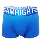 Brand Am Right Men's Underwear Shorties Traceless Boy's Shorts Panties / Boxers Briefs Underwear Violet