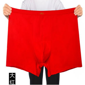 Roupa Interior Masculina De Cintura Alta Algodão Tamanho Grande Plus size calças planas soltas e gordas verão adulto shorts