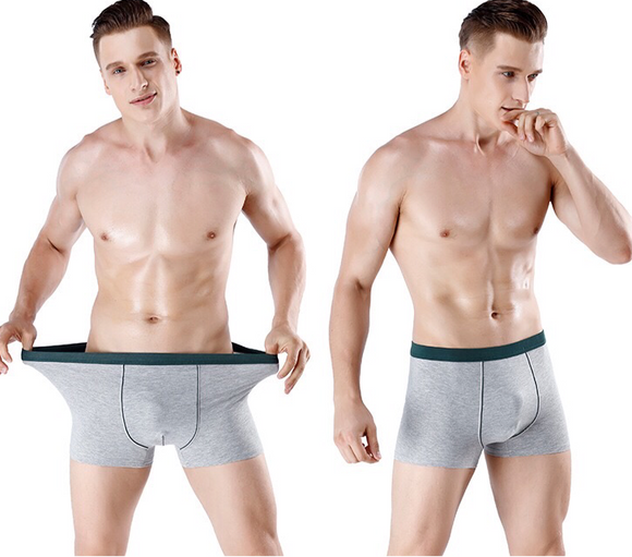 Large Size Men's Underwear Boxer Briefs Men's Normal Shorties & Boyshorts Panties / Boxers Underwear / Briefs Underwear